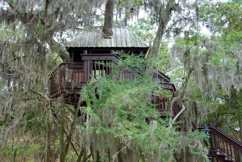 Treehouse Escapes